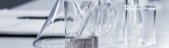 hans-reniers-lQGJCMY5qcM-unsplash