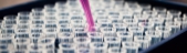 louis-reed-pwcKF7L4-no-unsplash (1)