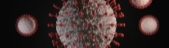 viktor-forgacs-FcDqdJUM6B4-unsplash